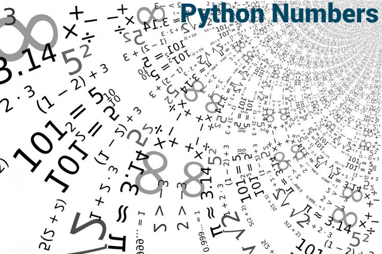 Cracking the Code: Exploring Python's Numeric World - w9school