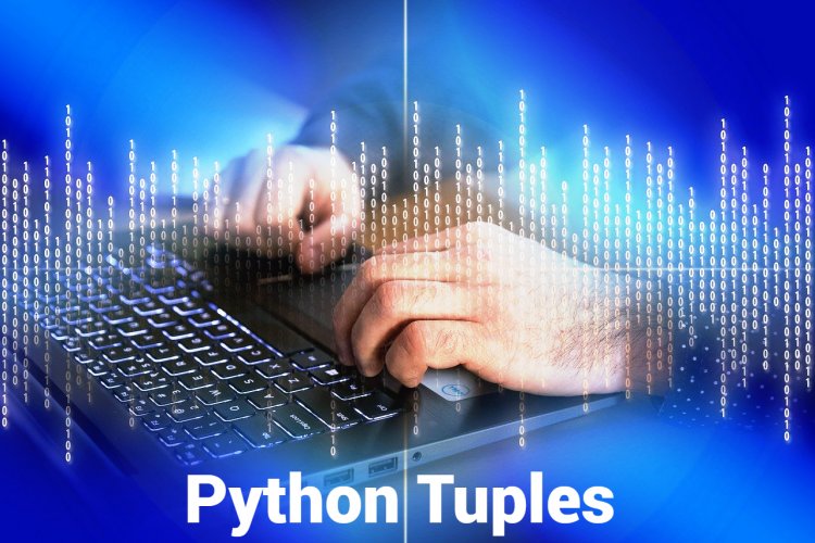 Python Tuples: Immutable, Versatile, and Efficient - w9school