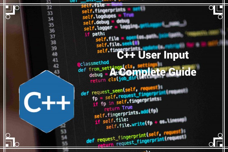 Mastering User Input in C++: A Programmer's Guide - w9school